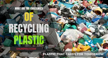 Challenges of Plastic Recycling: Overcoming the Hurdles
