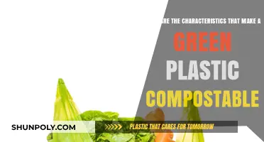 Eco-Friendly Plastics: Key Characteristics of Compostable Green Materials