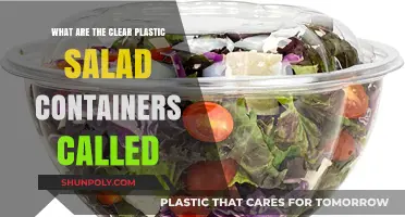 Clear Plastic Salad Containers: What Are They Called?
