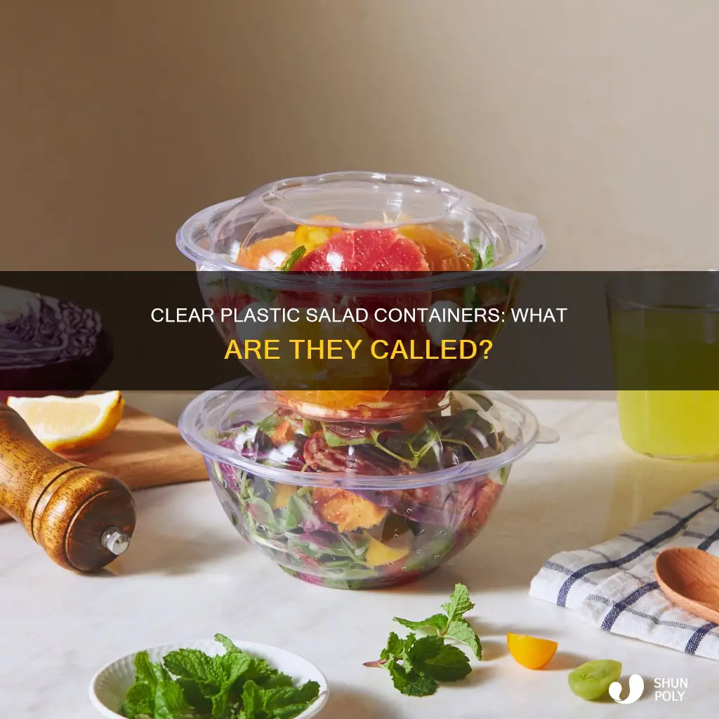 what are the clear plastic salad containers called