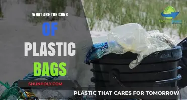 The Hidden Dangers of Plastic Bags: Environmental and Health Cons
