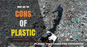 Plastic's Dark Side: Understanding the Drawbacks