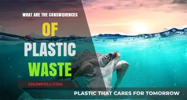 Plastic Waste: Harming Our Planet and Future