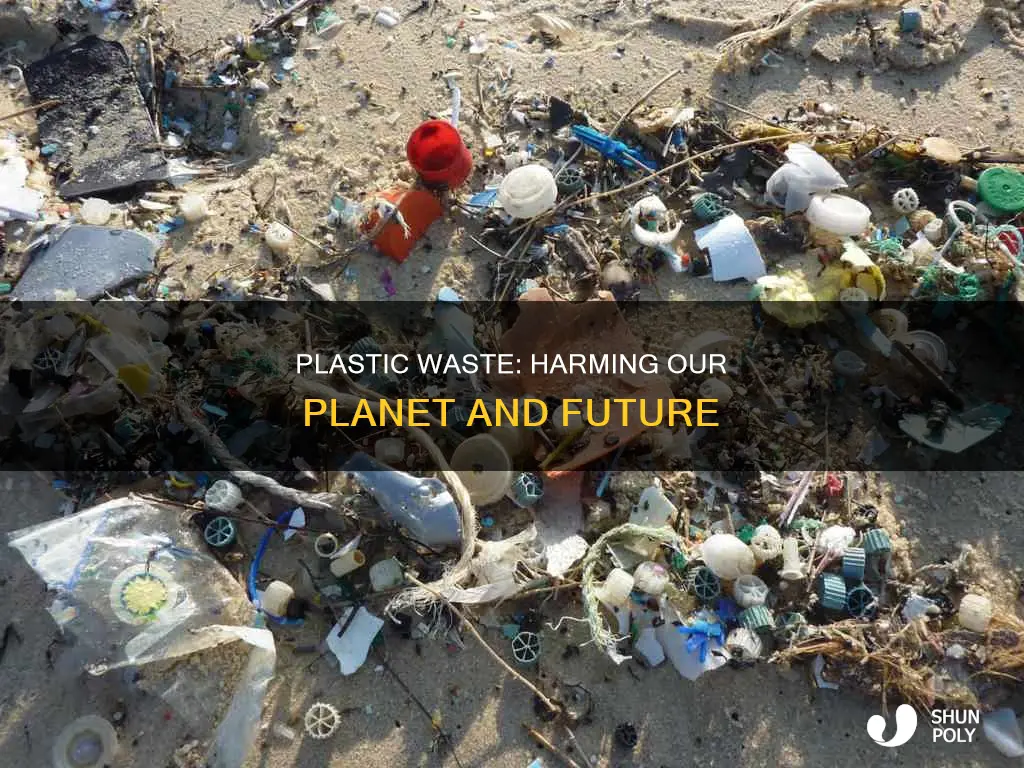 what are the conswquences of plastic waste