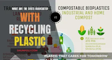 Exploring the True Cost of Plastic Recycling