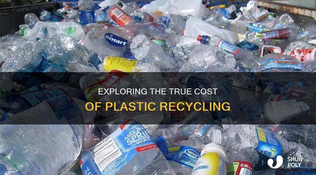 what are the costs associated with recycling plastic