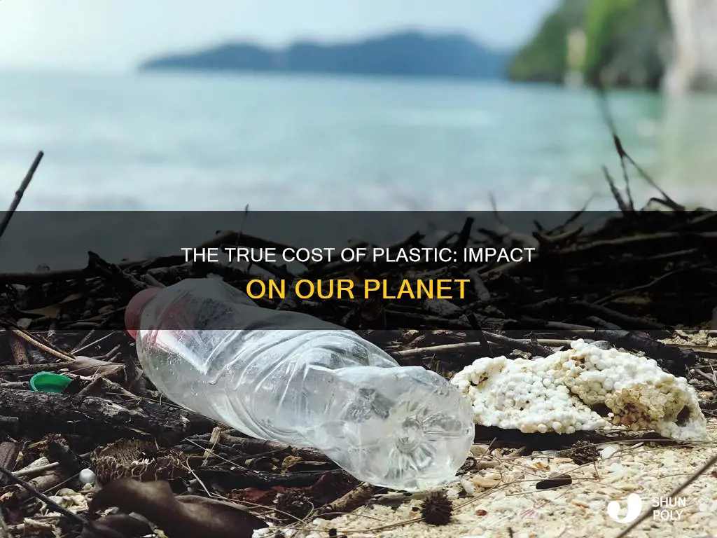 what are the costs of plastic