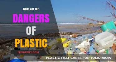 Plastic's Dark Side: Harming Our Planet and Health