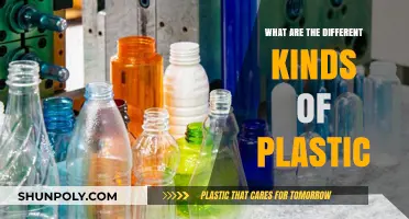 Understanding the Many Types of Plastic