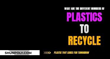Recycling Plastics: Understanding Different Polymer Types