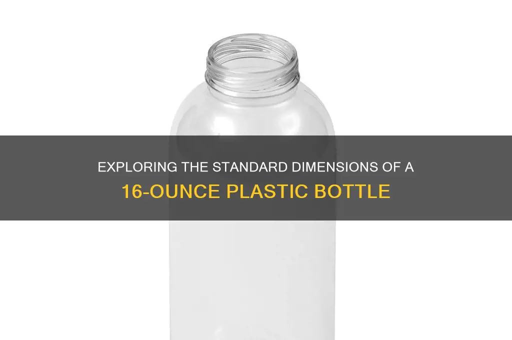 what are the dimensions of a 16 ounce plastic bottle