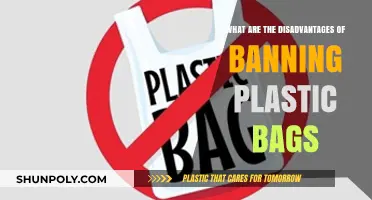 The Hidden Costs of Banning Plastic Bags: Unintended Consequences