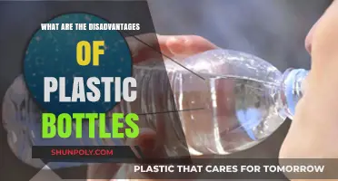 The Hidden Dangers of Plastic Bottles: Environmental and Health Risks
