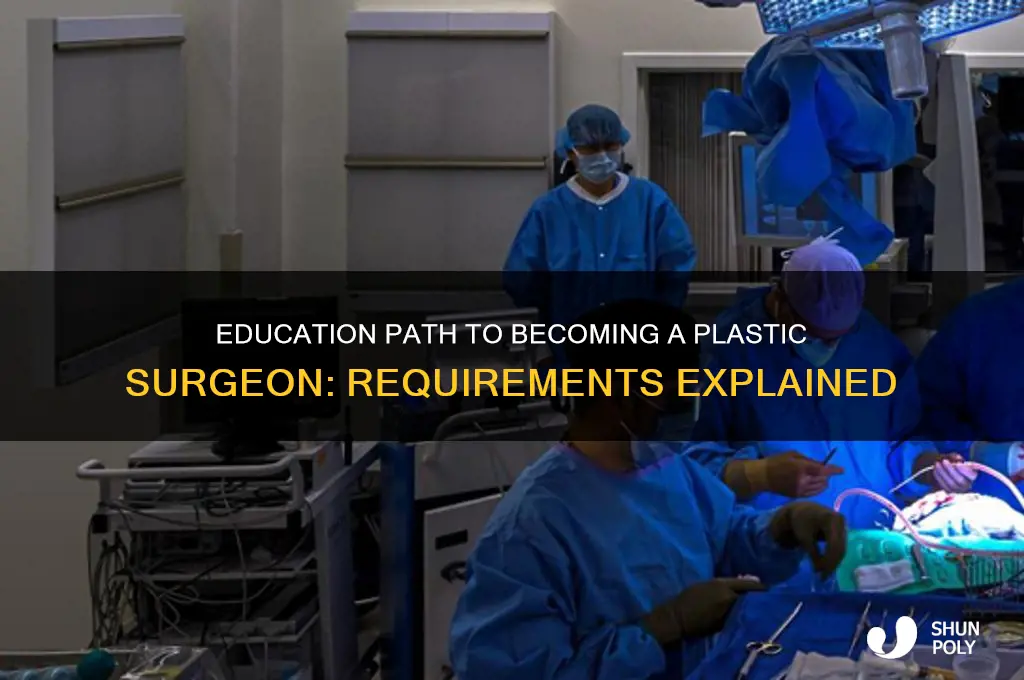 what are the education requirements for a plastic surgeon