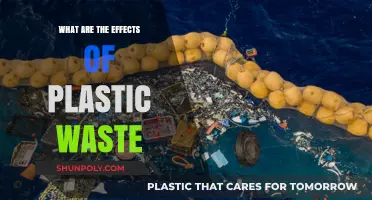 Plastic Pollution: Understanding the Devastating Impact