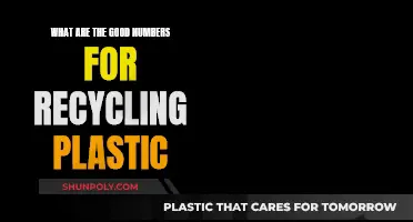 Recycling Plastic: How Much is Enough?