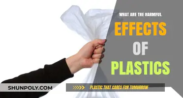 Plastics' Harmful Effects: A Toxic Legacy