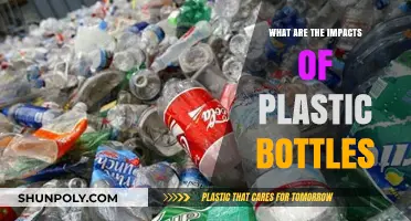 Plastic Bottles' Environmental Impact: Pollution, Wildlife, and Sustainability Concerns