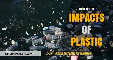 Plastic's Impact: Devastating Effects on Our Planet