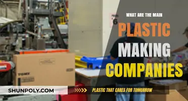 Plastic Giants: Who Makes the Most?