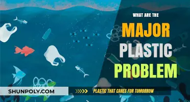 Plastic Problems: A Global Crisis