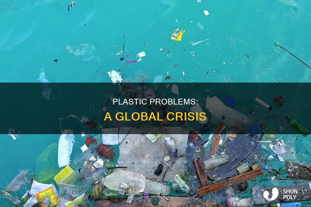 what are the major plastic problem
