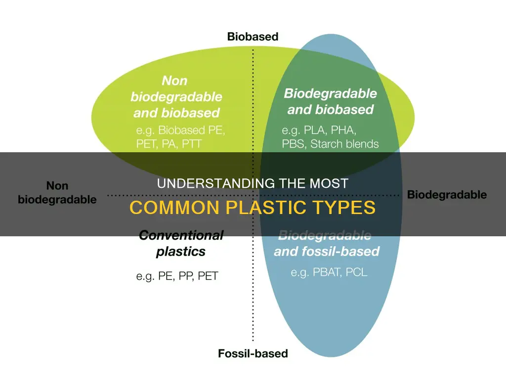 what are the most common plastic types