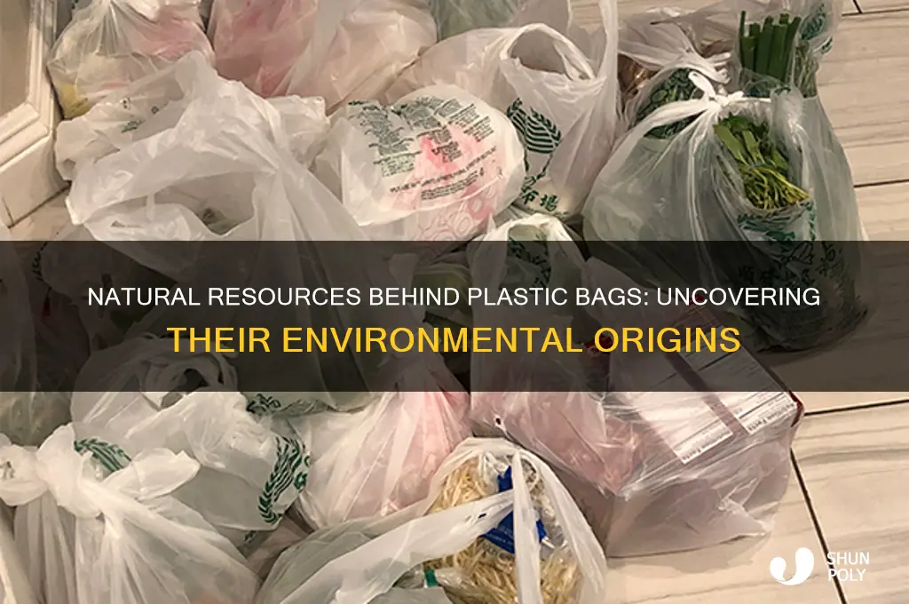 what are the natural resources used to make plastic bags