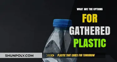 Innovative Ways to Recycle Gathered Plastic Waste