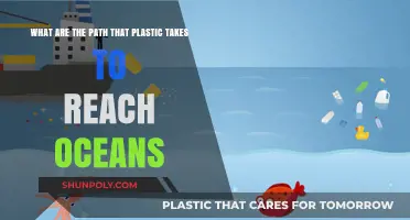 Tracing the Journey: How Plastic Ends Up in Our Oceans