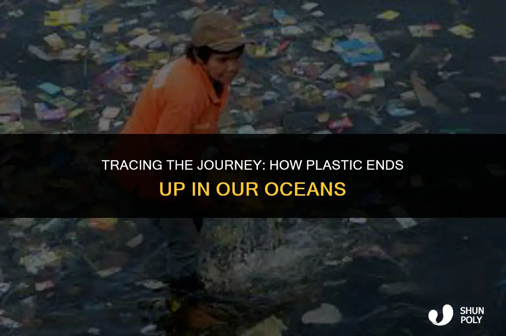 what are the path that plastic takes to reach oceans