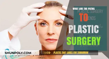 Exploring Diverse Paths to Plastic Surgery: Options, Considerations, and Outcomes