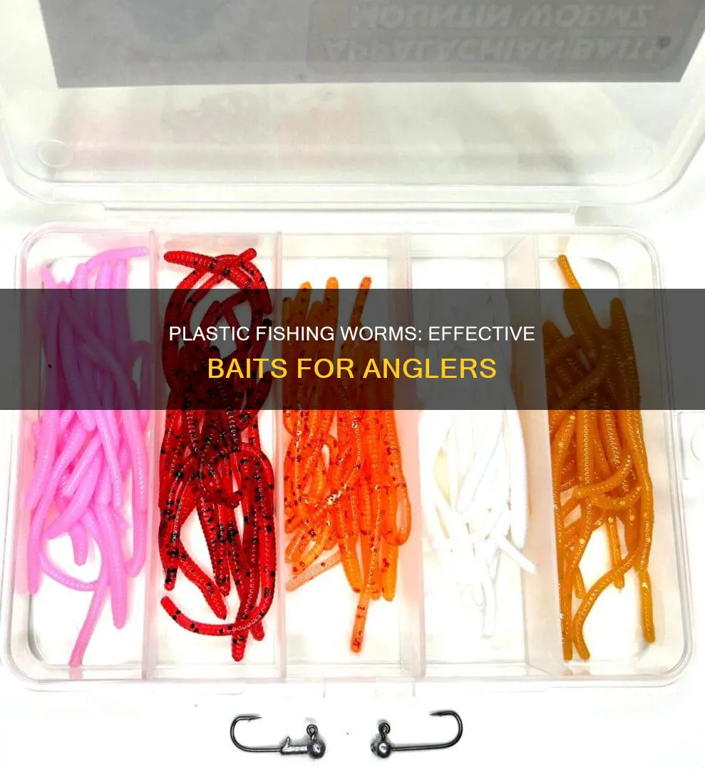 what are the plastic fishing worms for