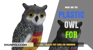 The Purpose of Plastic Owls