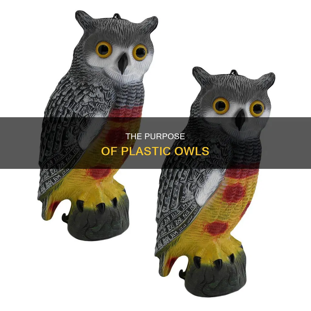 what are the plastic owl for