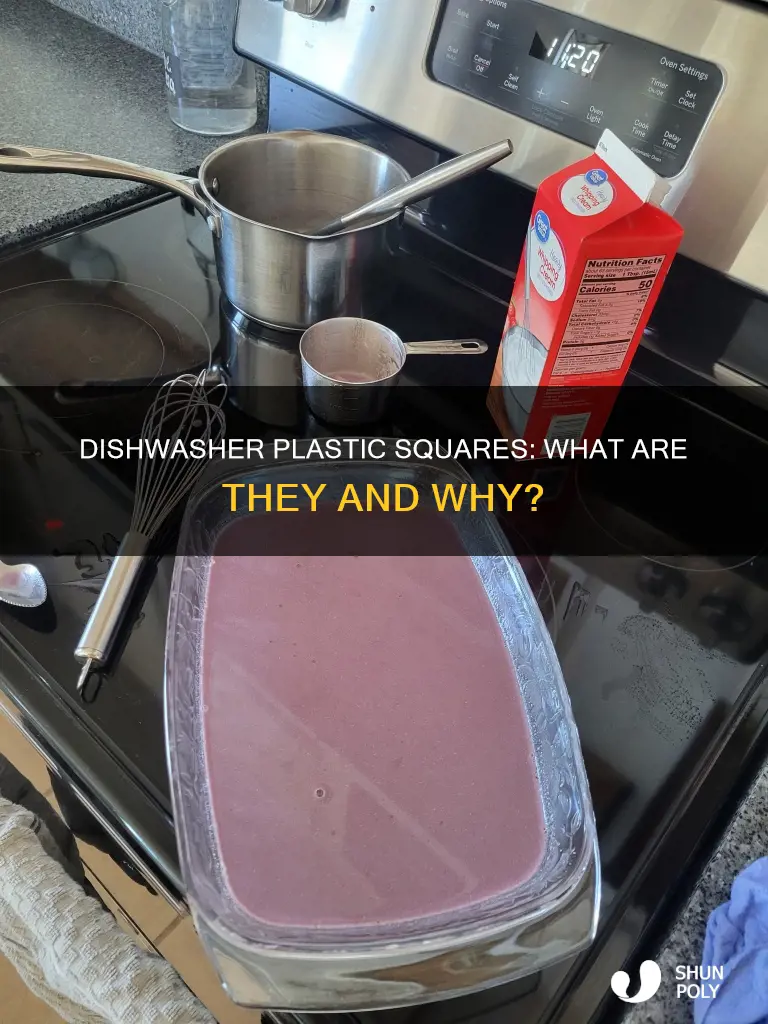 what are the plastic squares for dishwashers