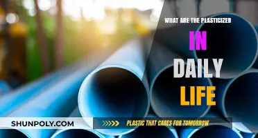 Plasticizers: Their Presence in Our Daily Lives