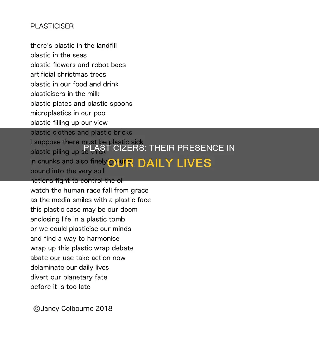 what are the plasticizer in daily life