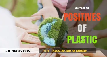 Plastic Benefits: A Necessary Evil?