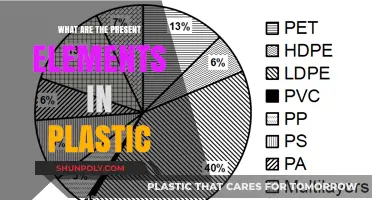 Present-Day Plastics: Harmful Elements Lurking in Everyday Items