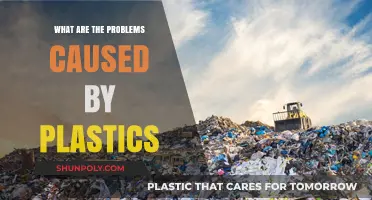 Plastic Pollution: Harming Our Planet and Health