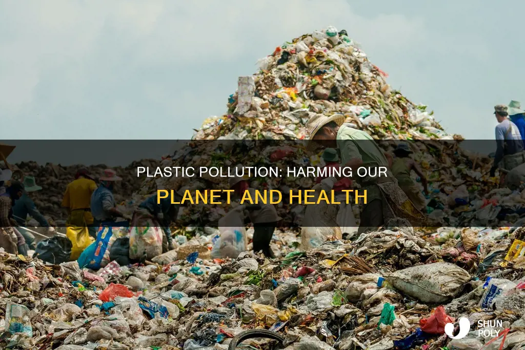 what are the problems caused by plastics