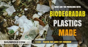 Biodegradable Plastics: Uncovering Hidden Environmental and Practical Challenges