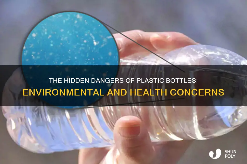 what are the problems with plastic bottles
