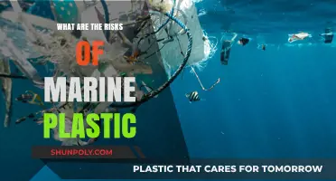 The Threat of Marine Plastics: Understanding the Risks