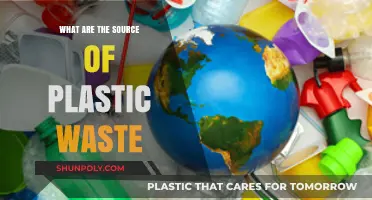 Plastic Waste: Understanding Its Sources and Origins