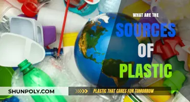Plastic Sources: A Comprehensive Overview