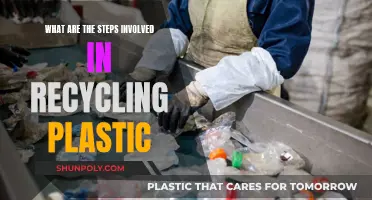 The Journey of Plastic: Recycling Process Steps