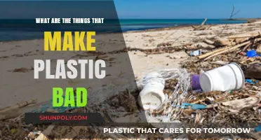 The Dark Side of Plastic: Environmental and Health Hazards Explained