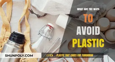 Live Plastic-Free: Tips for a Sustainable Life